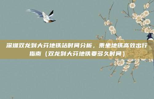 深圳双龙到大芬地铁站时间分析,乘坐地铁高效出行指南(双龙到大芬地铁要多久时间)