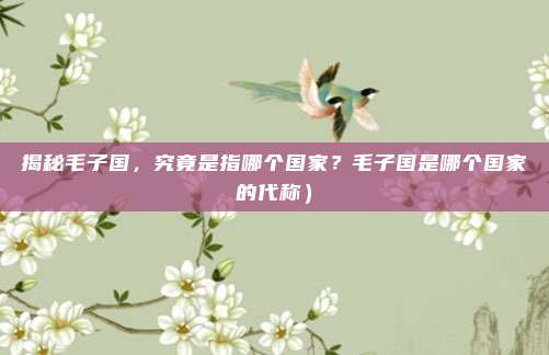 揭秘毛子国，究竟是指哪个国家？毛子国是哪个国家的代称）