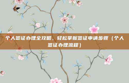 个人签证办理全攻略,轻松掌握签证申请步骤(个人签证办理流程)