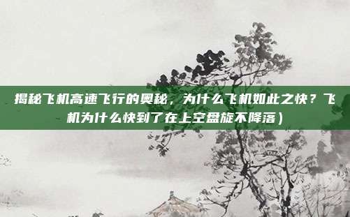 揭秘飞机高速飞行的奥秘,为什么飞机如此之快?飞机为什么快到了在上空盘旋不降落)