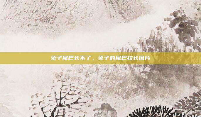 兔子尾巴长不了,兔子的尾巴拉长图片