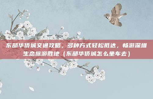 东部华侨城交通攻略,多种方式轻松抵达,畅游深圳生态旅游胜地(东部华侨城怎么坐车去)