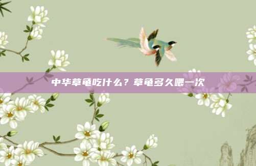 中华草龟吃什么？草龟多久喂一次