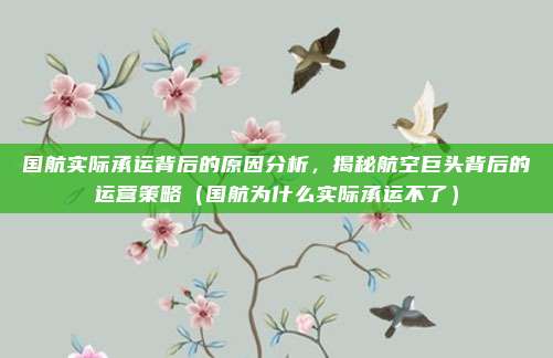 国航实际承运背后的原因分析,揭秘航空巨头背后的运营策略(国航为什么实际承运不了)