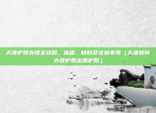天津护照办理全攻略,流程、材料及注意事项(天津如何办理护照出国护照)