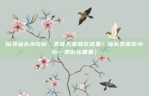 探寻汕头小吃街,美食天堂就在这里!汕头美食街小吃一条街在哪里)