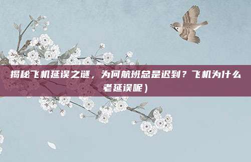 揭秘飞机延误之谜,为何航班总是迟到?飞机为什么老延误呢)
