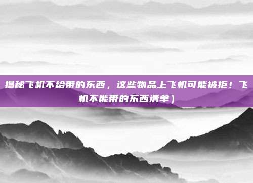 揭秘飞机不给带的东西,这些物品上飞机可能被拒!飞机不能带的东西清单)