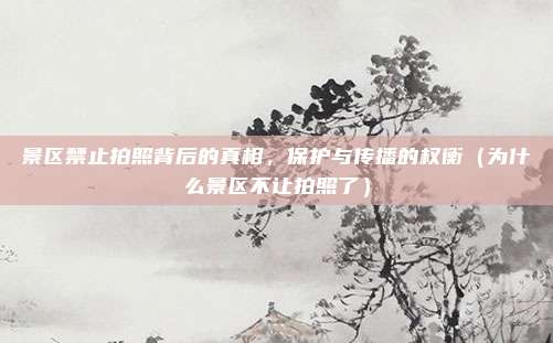 景区禁止拍照背后的真相,保护与传播的权衡(为什么景区不让拍照了)
