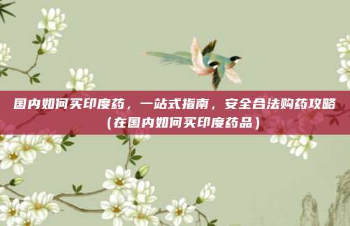 国内如何买印度药,一站式指南,安全合法购药攻略(在国内如何买印度药品)