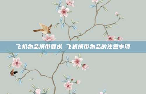 飞机物品携带要求 飞机携带物品的注意事项
