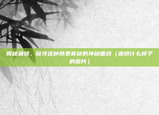 揭秘鱼翅，探寻这种昂贵食材的神秘面纱（鱼翅什么样子的图片）