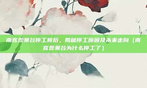 南宫观景台停工背后,揭秘停工原因及未来走向(南宫观景台为什么停工了)