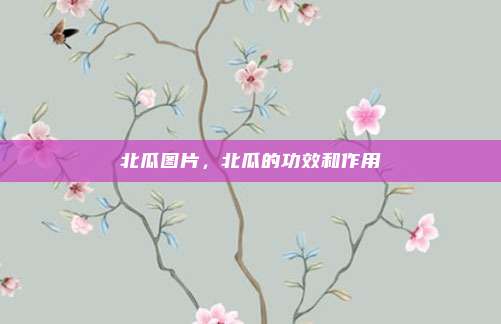 北瓜图片,北瓜的功效和作用