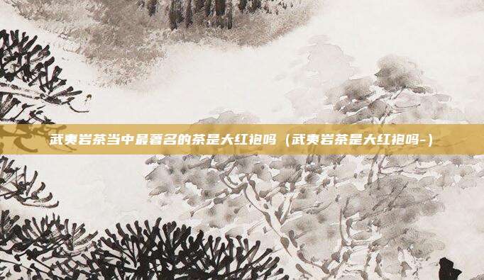 武夷岩茶当中最著名的茶是大红袍吗（武夷岩茶是大红袍吗-）