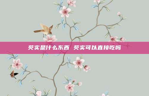 芡实是什么东西 芡实可以直接吃吗