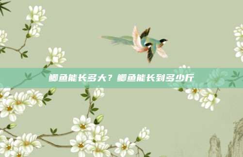 鲫鱼能长多大？鲫鱼能长到多少斤