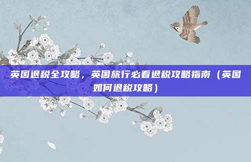 英国退税全攻略,英国旅行必看退税攻略指南(英国如何退税攻略)