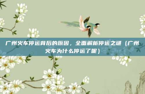 广州火车停运背后的原因,全面解析停运之谜(广州火车为什么停运了呢)