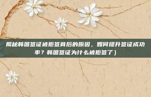 揭秘韩国签证被拒签背后的原因,如何提升签证成功率?韩国签证为什么被拒签了)