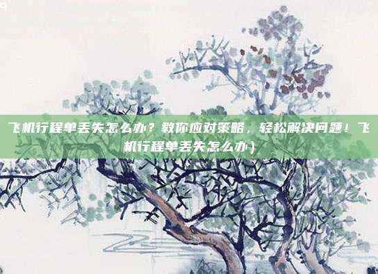飞机行程单丢失怎么办?教你应对策略,轻松解决问题!飞机行程单丢失怎么办)