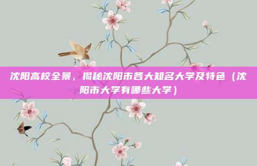 沈阳高校全景,揭秘沈阳市各大知名大学及特色(沈阳市大学有哪些大学)