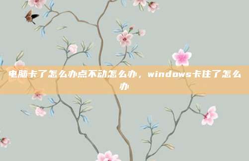 电脑卡了怎么办点不动怎么办,windows卡住了怎么办