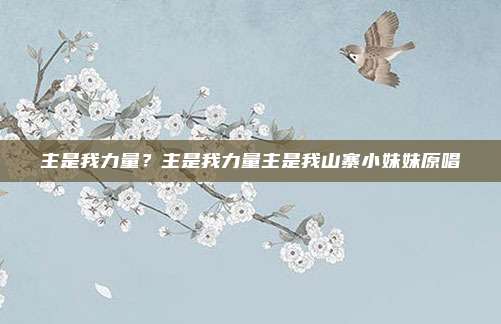 主是我力量？主是我力量主是我山寨小妹妹原唱