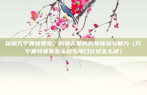 探秘万宁奥特莱斯,购物天堂的购物体验与魅力(万宁奥特莱斯怎么样与海口比较怎么样)