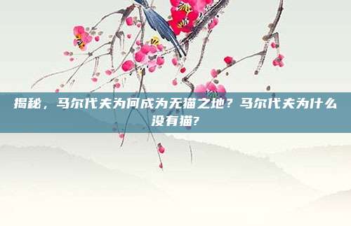 揭秘,马尔代夫为何成为无猫之地?马尔代夫为什么没有猫?