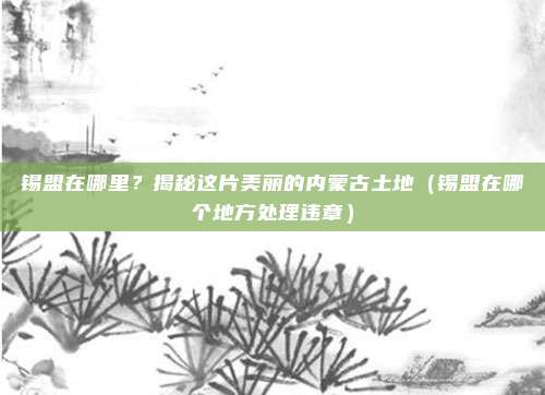 锡盟在哪里?揭秘这片美丽的内蒙古土地(锡盟在哪个地方处理违章)