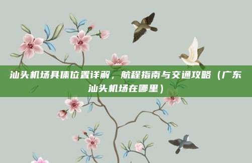 汕头机场具体位置详解,航程指南与交通攻略(广东汕头机场在哪里)