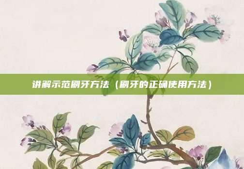 讲解示范刷牙方法（刷牙的正确使用方法）