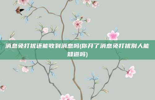 消息免打扰还能收到消息吗(你开了消息免打扰别人能知道吗)