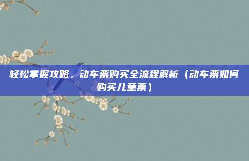 轻松掌握攻略，动车票购买全流程解析（动车票如何购买儿童票）