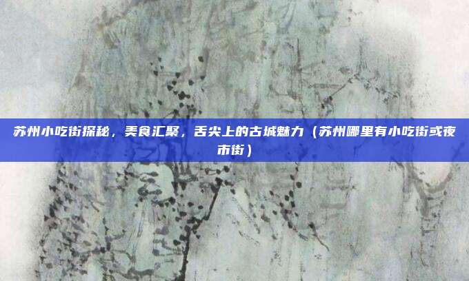 苏州小吃街探秘,美食汇聚,舌尖上的古城魅力(苏州哪里有小吃街或夜市街)