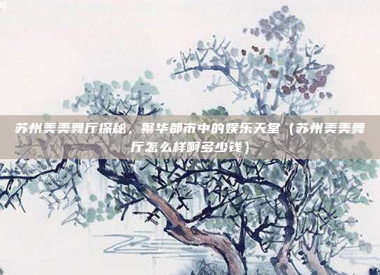 苏州美美舞厅探秘,繁华都市中的娱乐天堂(苏州美美舞厅怎么样啊多少钱)