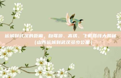 运城到武汉的距离,自驾游、高铁、飞机路线大揭秘(山西运城到武汉多少公里)