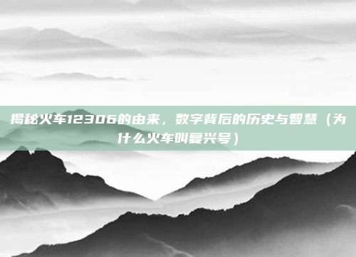 揭秘火车12306的由来,数字背后的历史与智慧(为什么火车叫复兴号)