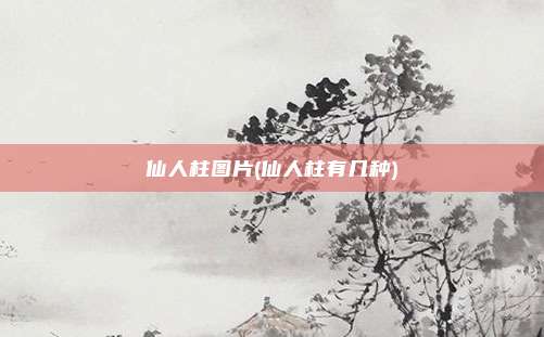 仙人柱图片(仙人柱有几种)