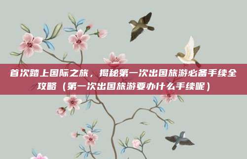 首次踏上国际之旅,揭秘第一次出国旅游必备手续全攻略(第一次出国旅游要办什么手续呢)