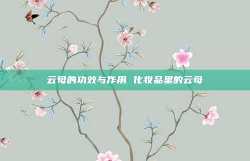 云母的功效与作用 化妆品里的云母