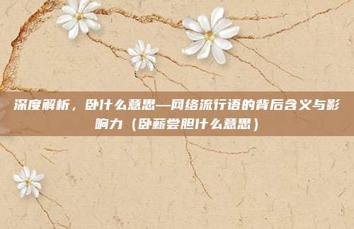 深度解析,卧什么意思—网络流行语的背后含义与影响力(卧薪尝胆什么意思)