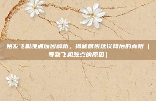 始发飞机晚点原因解析,揭秘航班延误背后的真相(导致飞机晚点的原因)