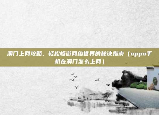 澳门上网攻略,轻松畅游网络世界的秘诀指南(oppo手机在澳门怎么上网)