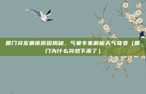 厦门突发暴雨原因揭秘,气象专家解析天气奇变(厦门为什么突然下雨了)