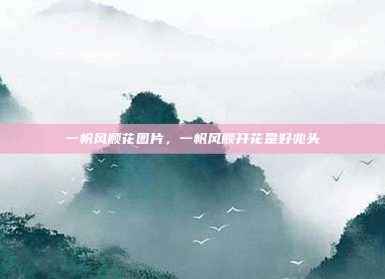 一帆风顺花图片,一帆风顺开花是好兆头