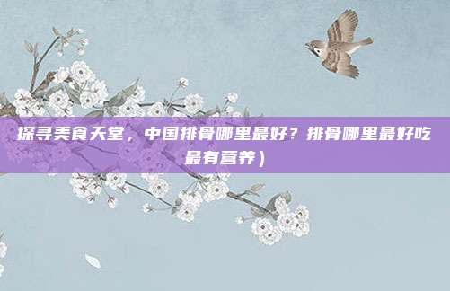 探寻美食天堂,中国排骨哪里最好?排骨哪里最好吃最有营养)