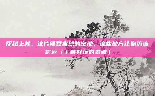 探秘上林,这片绿意盎然的宝地,这些地方让你流连忘返(上林好玩的景点)