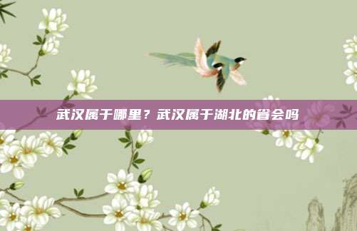 武汉属于哪里？武汉属于湖北的省会吗